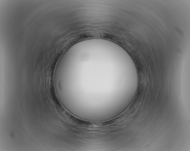 X0000112930080200908241103