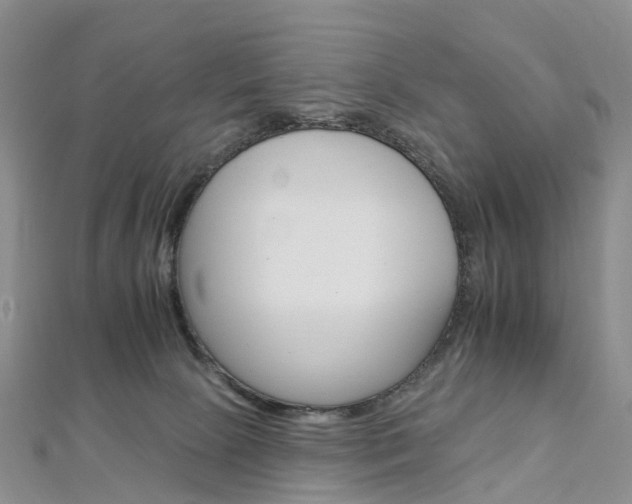 X0000112930081200908241103