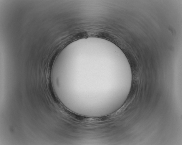 X0000112930082200908241103