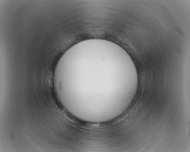 X0000112930083200908241103