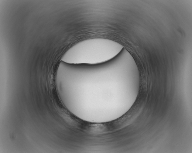 X0000112930087200908241103
