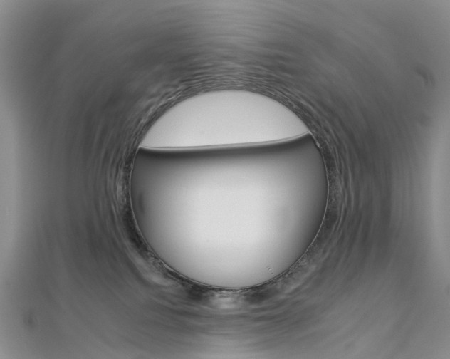 X0000112930088200908241104