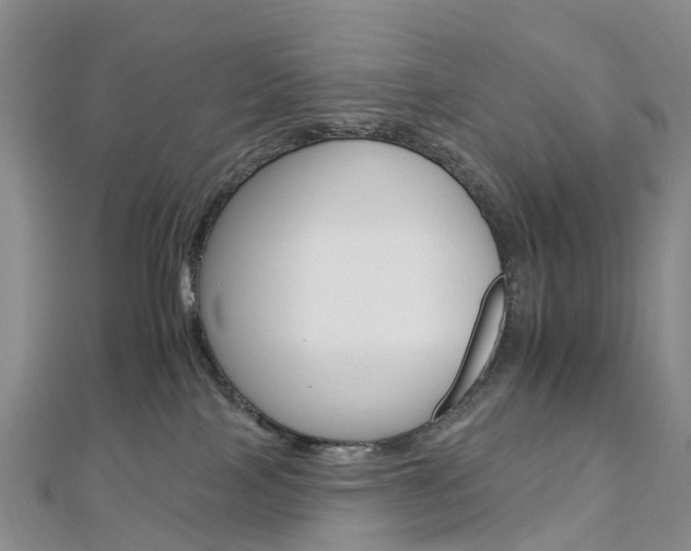 X0000112930089200908241104