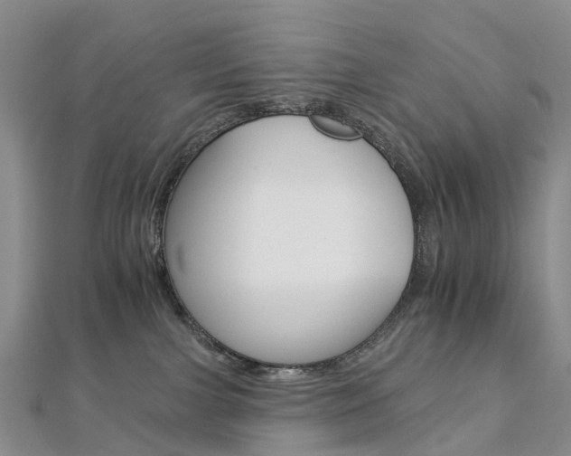 X0000112930091200908241104