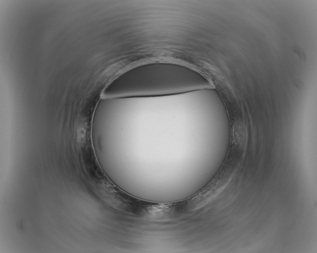 X0000112930092200908241104