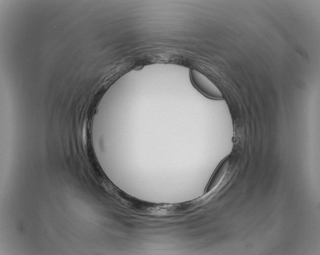 X0000112930094200908241104