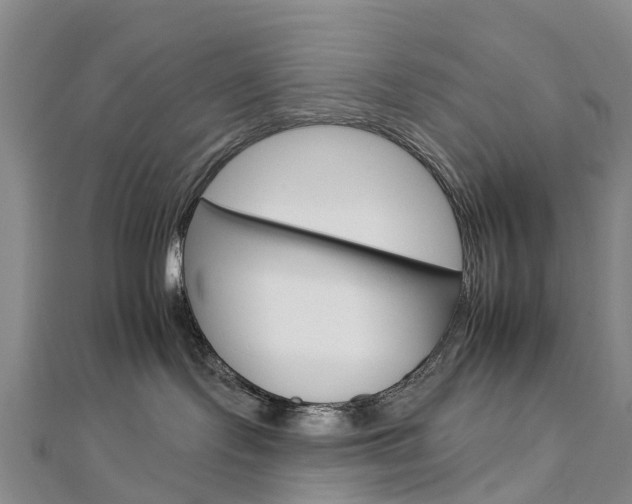 X0000112930095200908241104