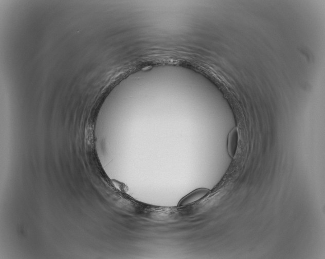 X0000112930096200908241104