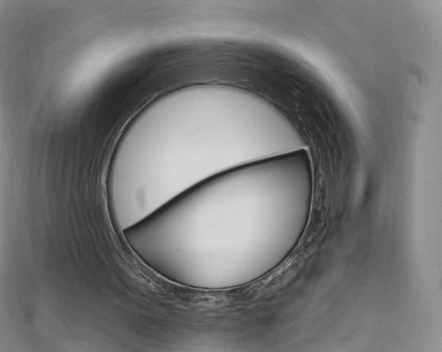 X0000112930099200908241103
