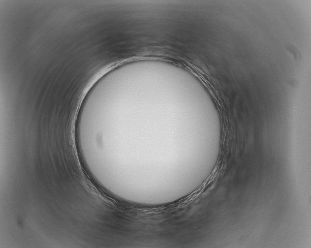 X0000112930100200908241103