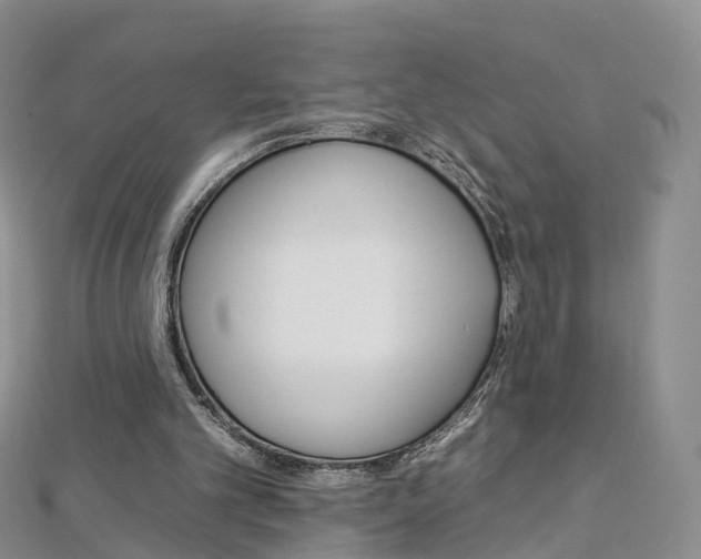 X0000112930101200908241103