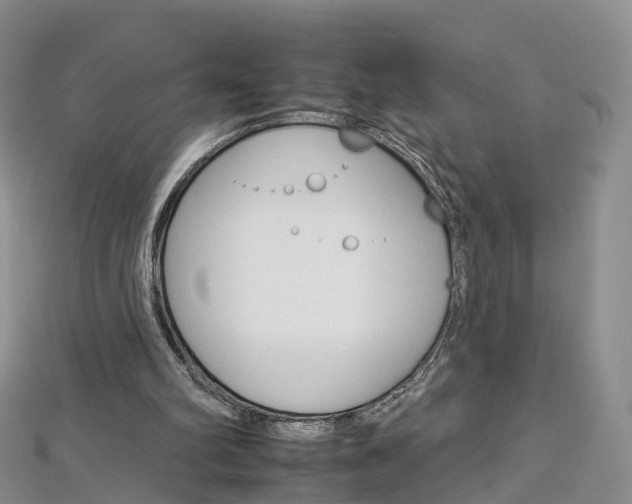 X0000112930102200908241103