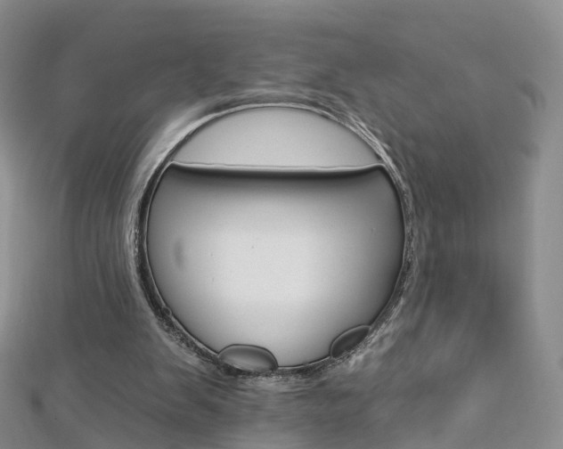 X0000112930103200908241103