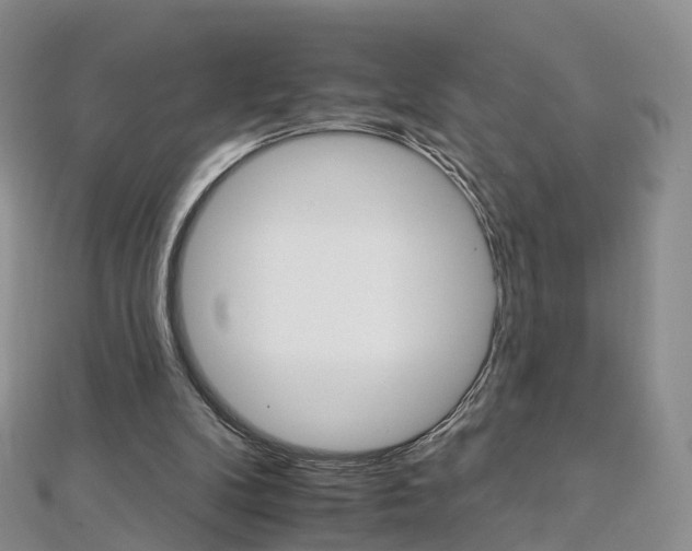 X0000112930104200908241103