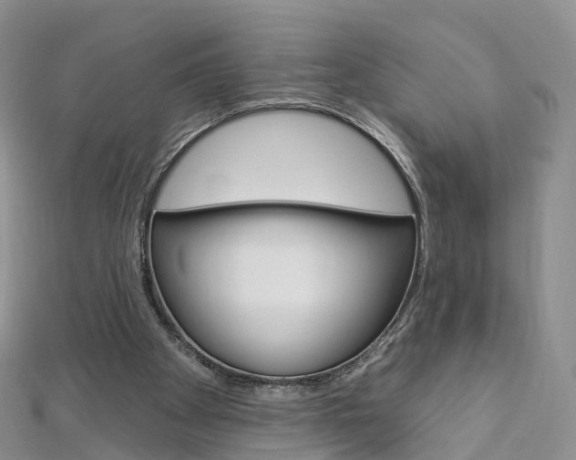 X0000112930105200908241103