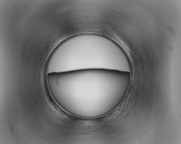X0000112930107200908241103