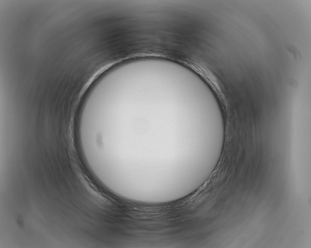 X0000112930108200908241103