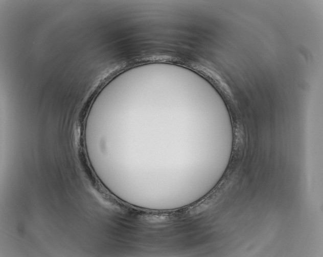 X0000112930110200908241103