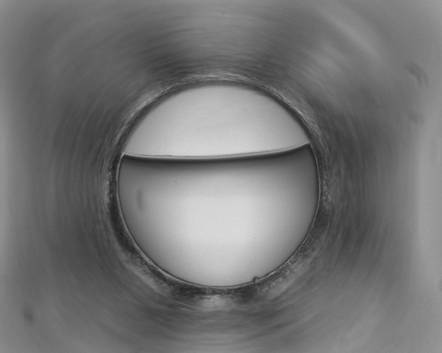 X0000112930111200908241103