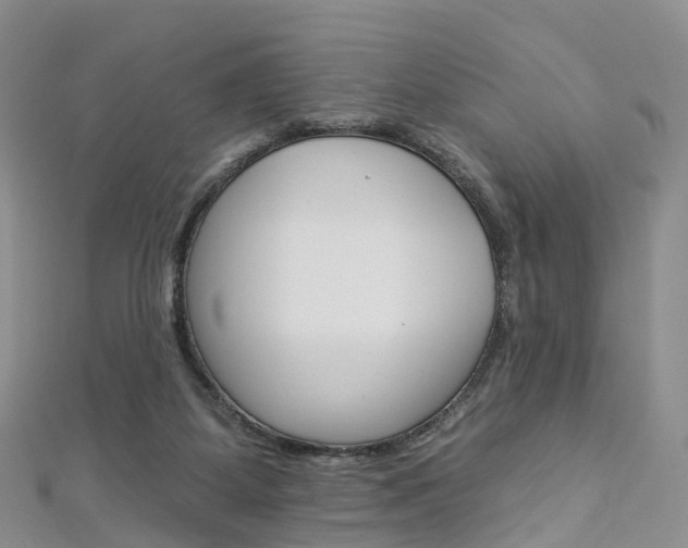 X0000112930115200908241103