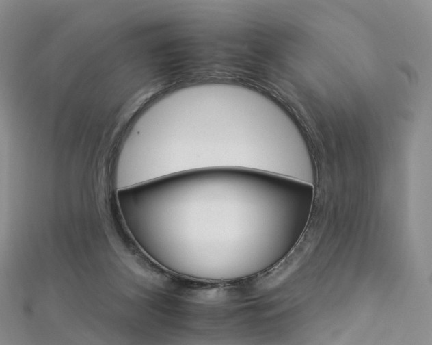 X0000112930116200908241103