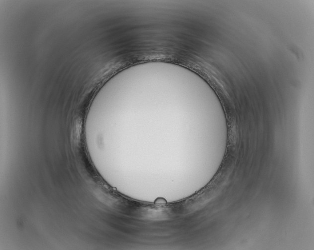 X0000112930118200908241103