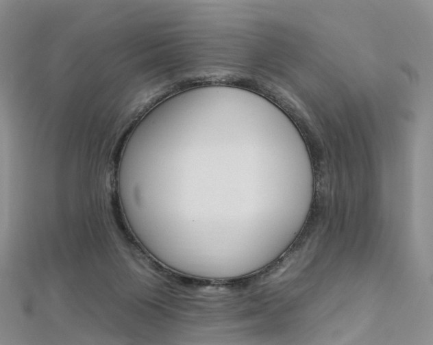 X0000112930119200908241103