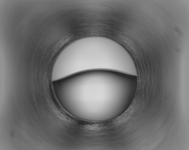 X0000112930120200908241103