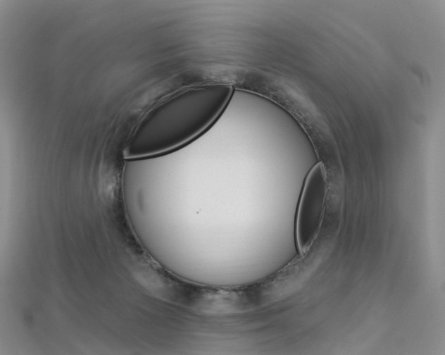 X0000112930125200908241103