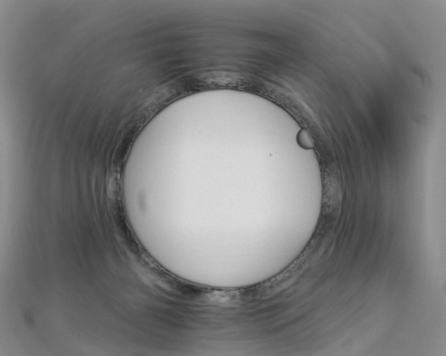 X0000112930126200908241103