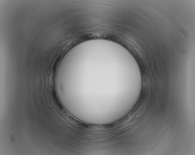 X0000112930127200908241103