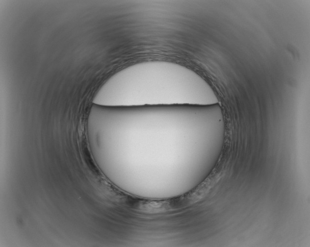 X0000112930129200908241103