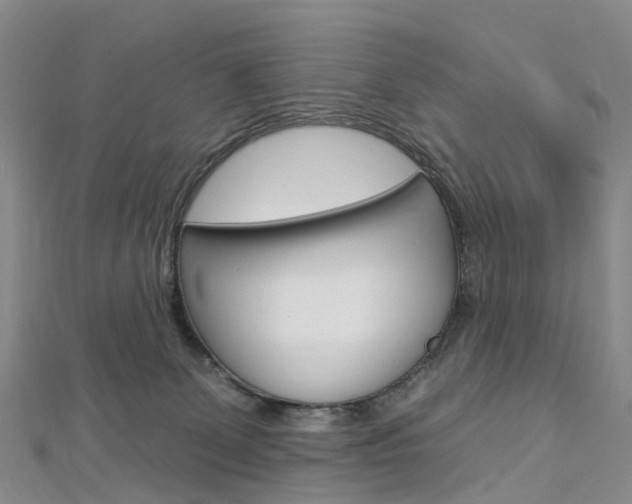 X0000112930131200908241102