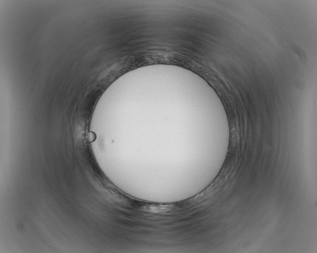 X0000112930134200908241102