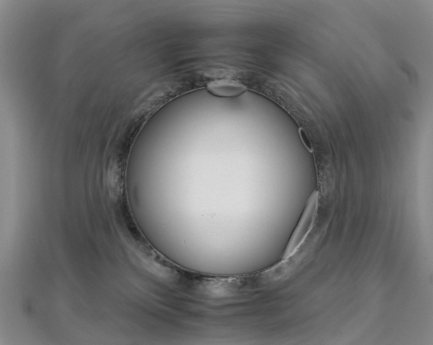 X0000112930136200908241102