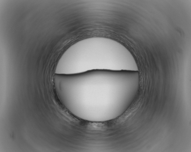 X0000112930137200908241102