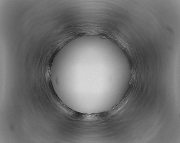 X0000112930141200908241102
