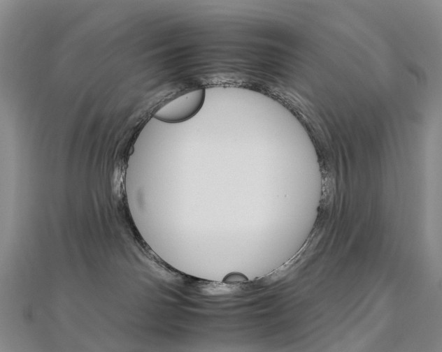 X0000112930142200908241102