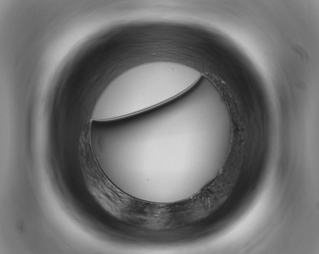 X0000112930143200908241102