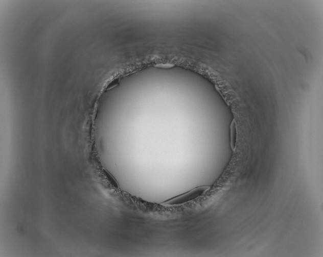 X0000112930144200908241102