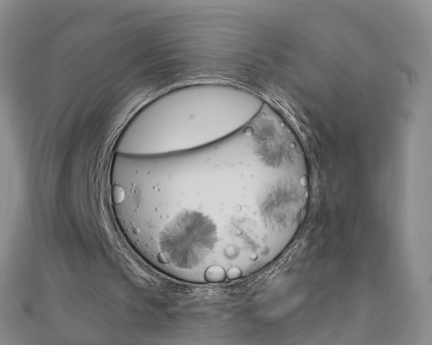 X0000112930145200908241102