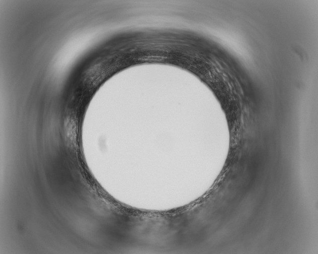 X0000112930146200908241102