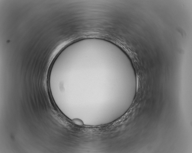 X0000112930147200908241102