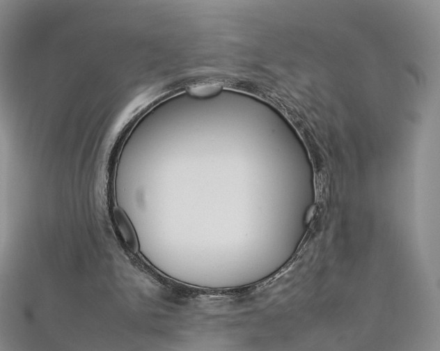 X0000112930150200908241102