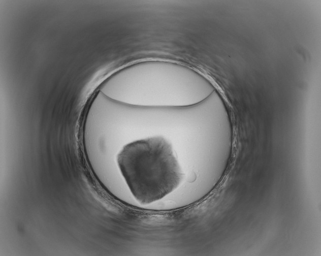 X0000112930151200908241102