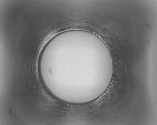 X0000112930152200908241102