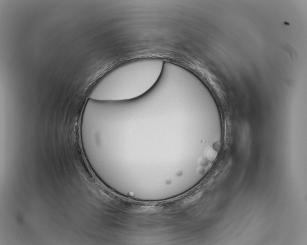 X0000112930153200908241102