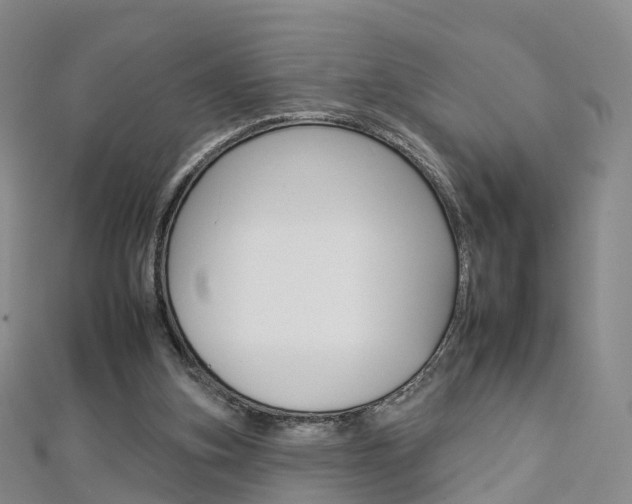 X0000112930155200908241102