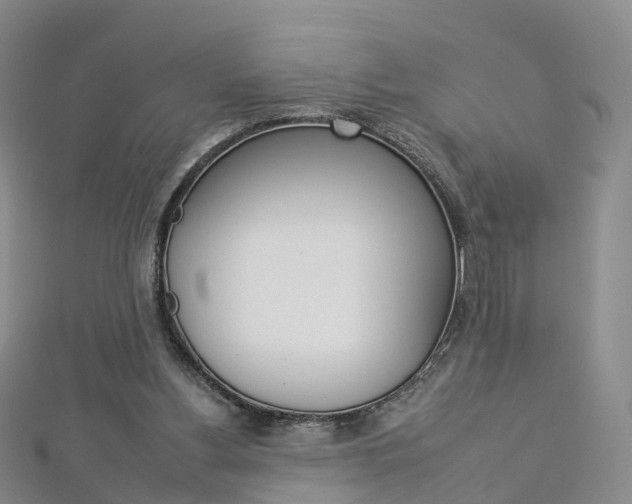 X0000112930156200908241102