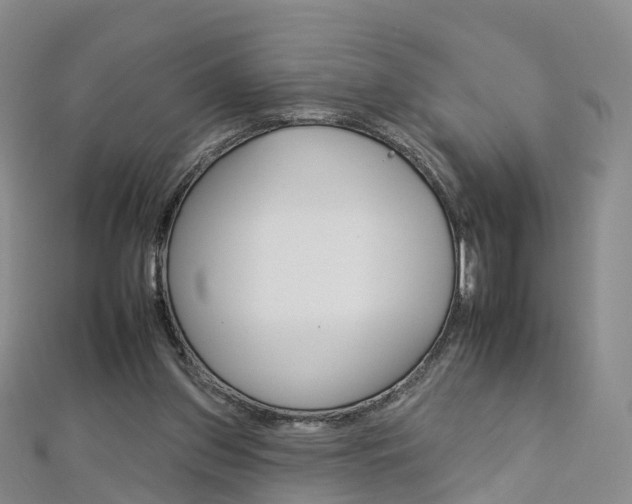 X0000112930157200908241102